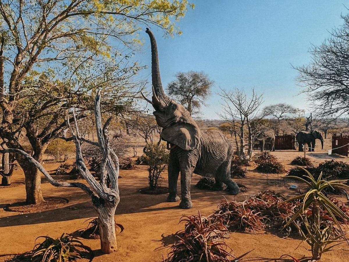 Tshukudu Game Lodge Hoedspruit Bagian luar foto
