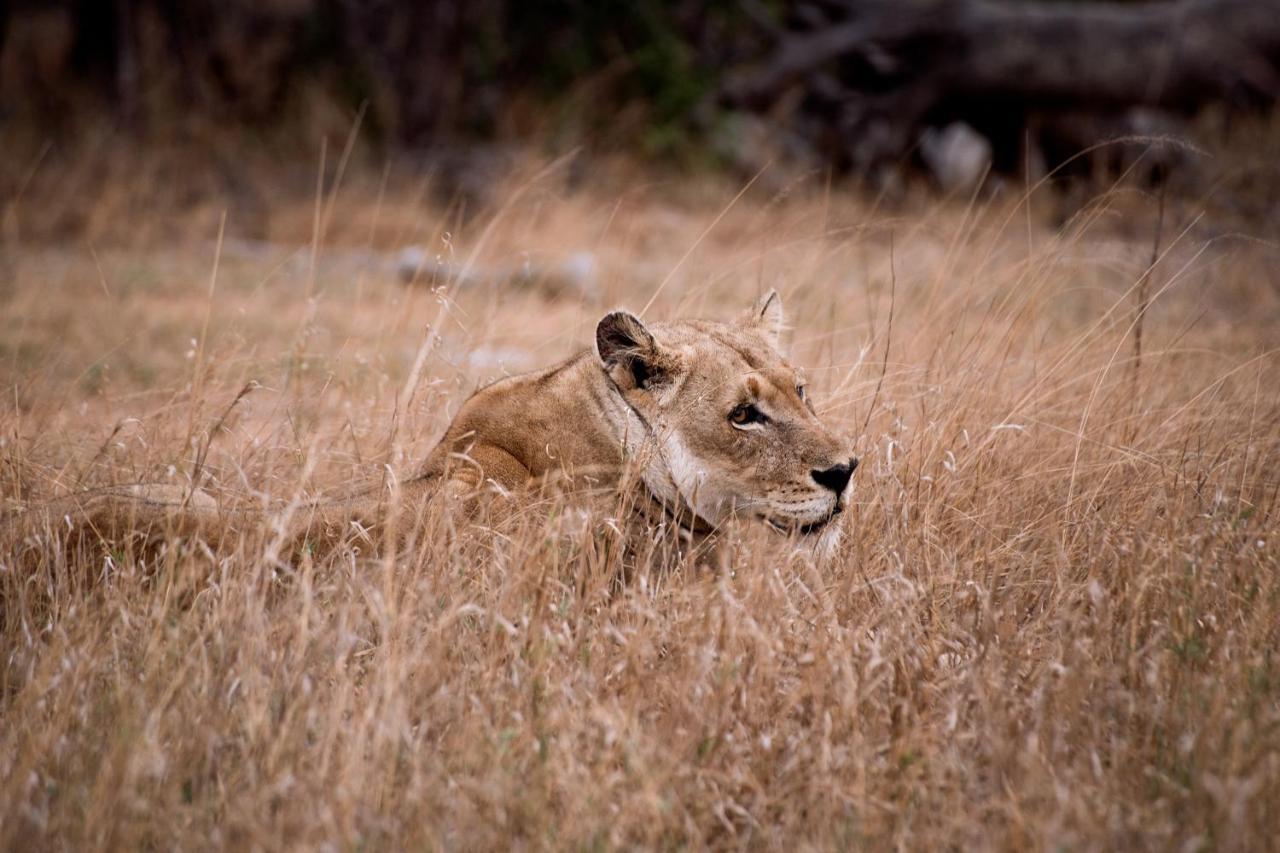 Tshukudu Game Lodge Hoedspruit Bagian luar foto